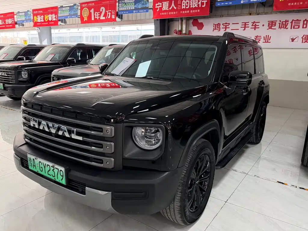 Haval Menglong New Energy 2024