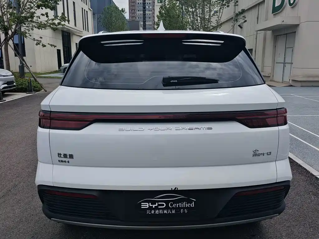BYD Pro New Energy — миниатюра 10