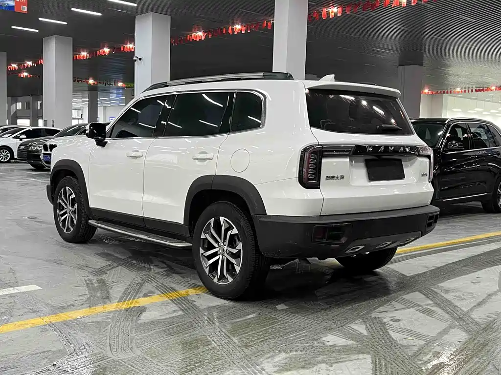 HAVAL BIG DOG