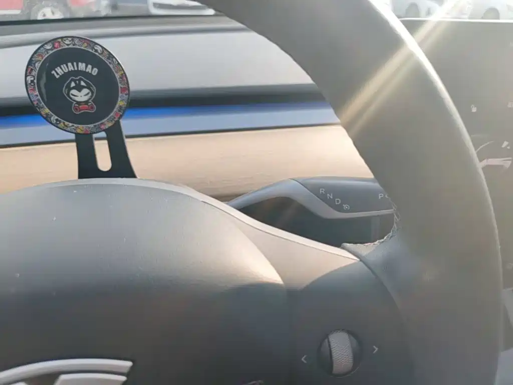 Tesla Model Y — миниатюра 14