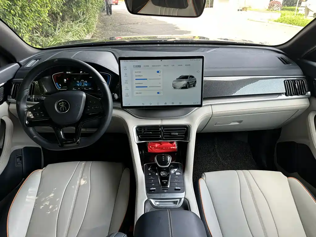 BYD PLUS New Energy — миниатюра 7