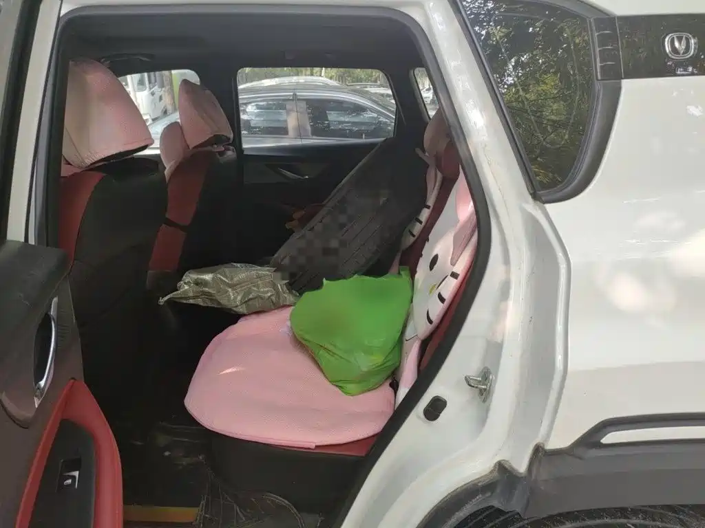 Changan CS35PLUS — миниатюра 15