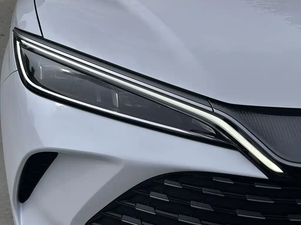BYD Song L DM-i L DM-i 2024 75km Lead