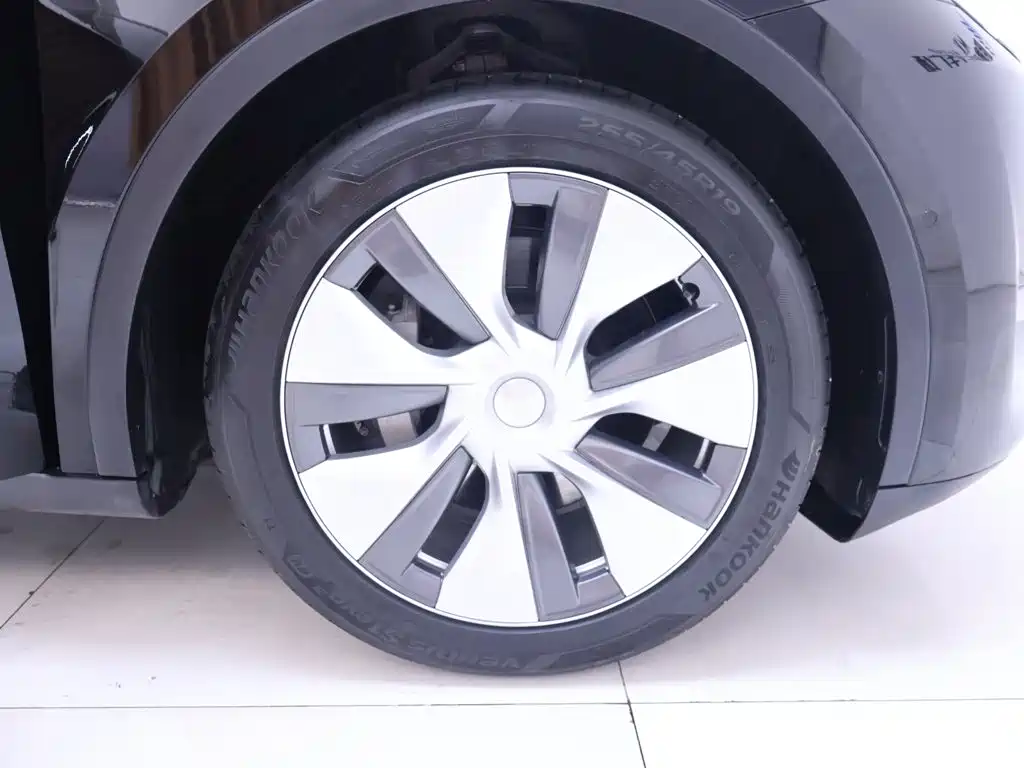 Tesla Model Y — миниатюра 6