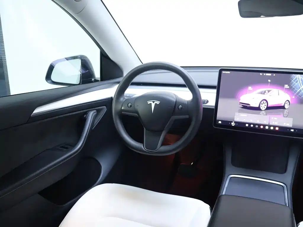 Tesla Model Y — миниатюра 14