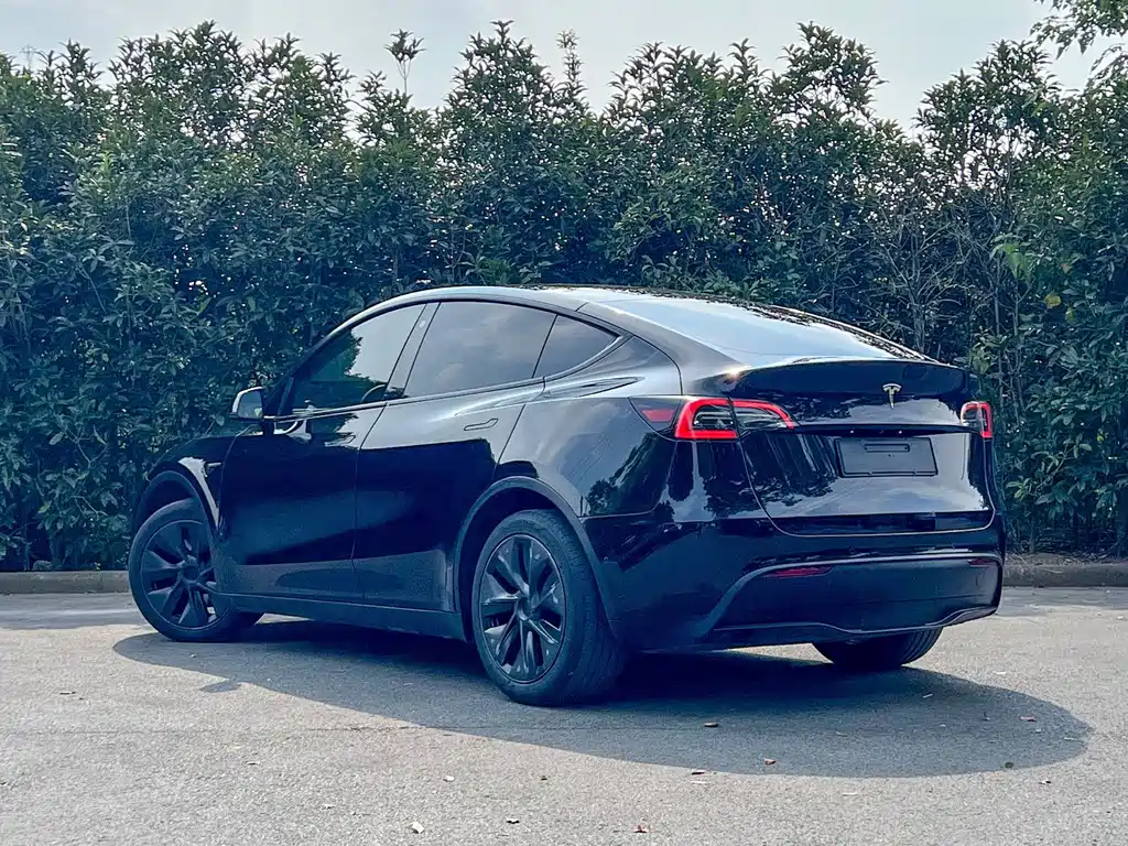 Tesla Model Y — миниатюра 5