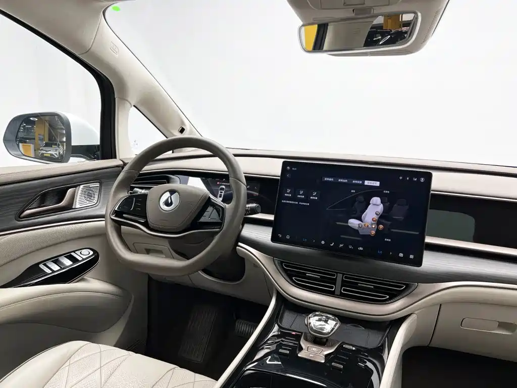 Denza Denza D9 — миниатюра 27