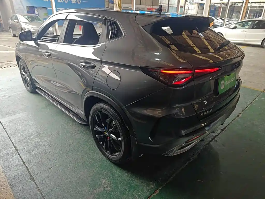 Oshan Oushang X5 PLUS — миниатюра 5