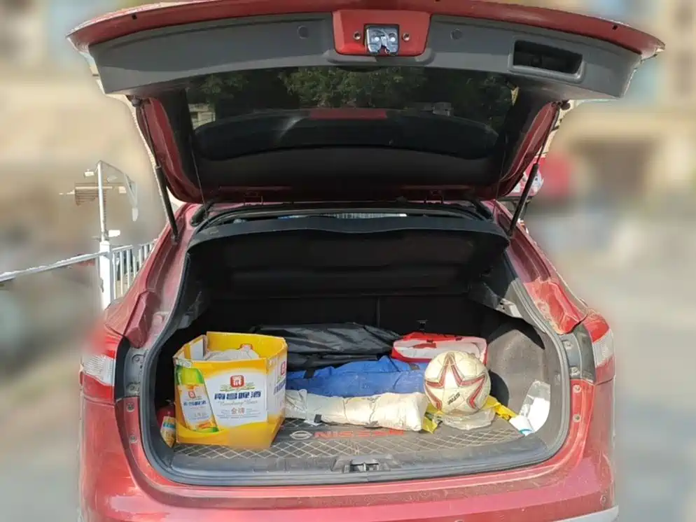 Nissan Qashqai — миниатюра 23