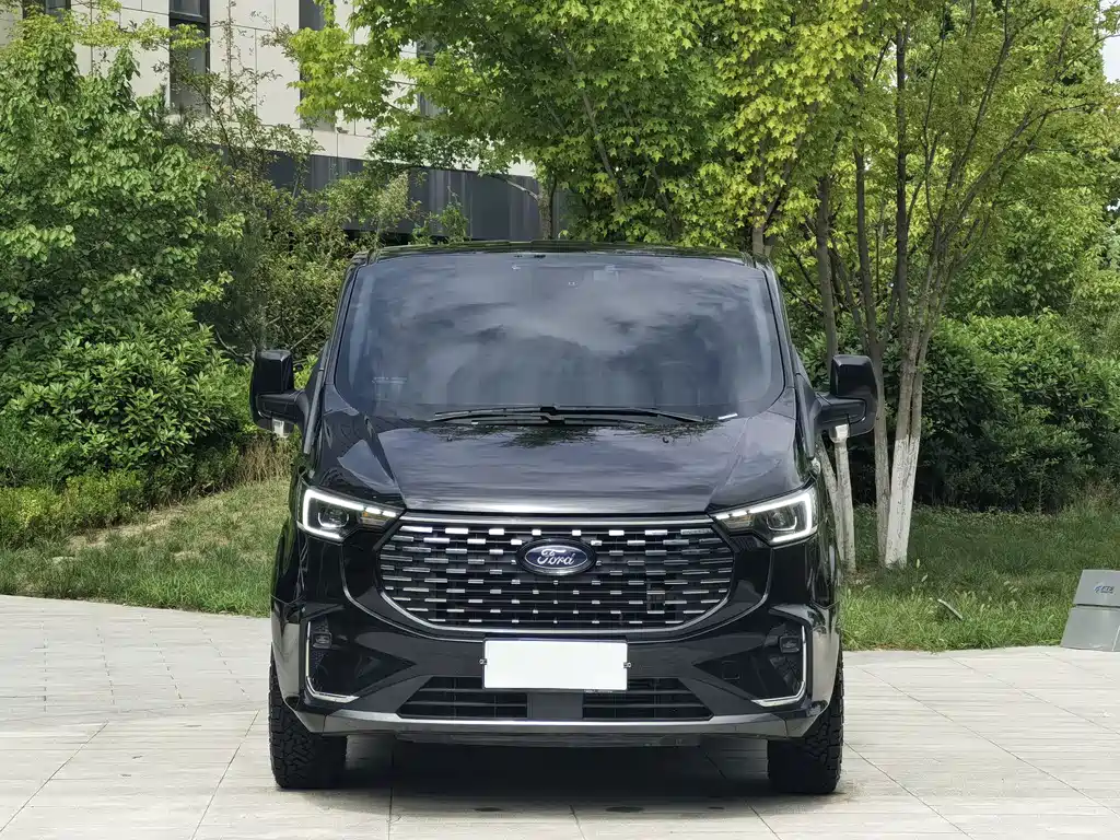 Ford Tourneo — миниатюра 2