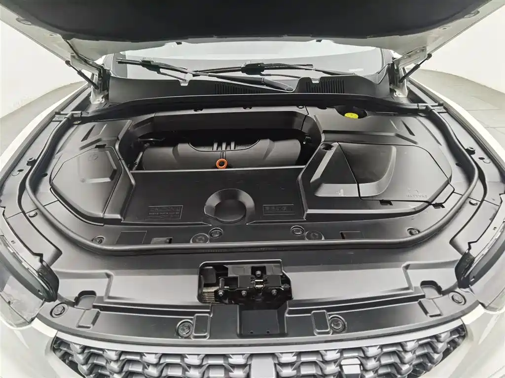 WEI PAI WEI BRAND VV5