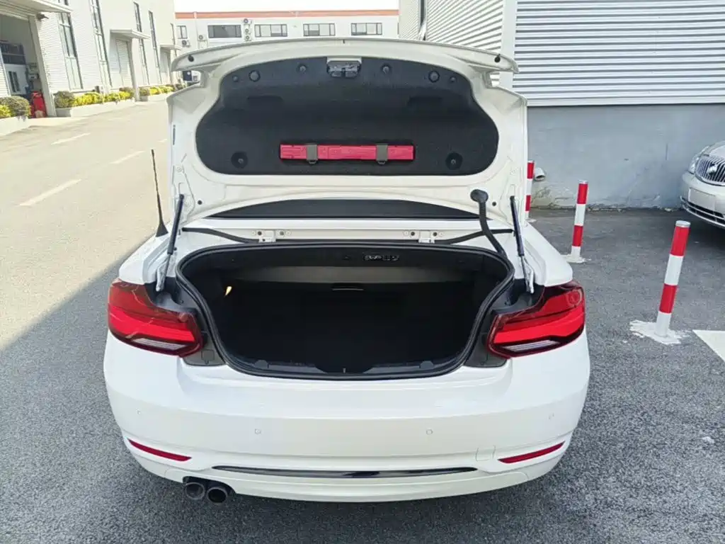 BMW 2 Series (Import) — миниатюра 19