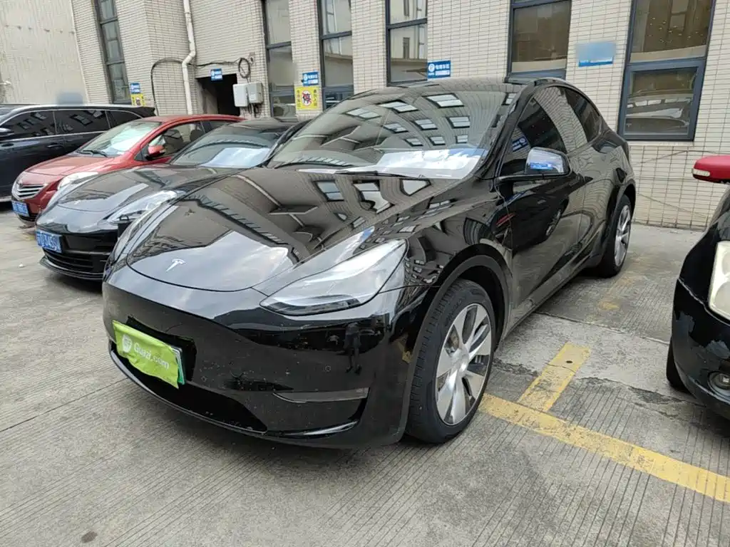 Tesla Model Y — миниатюра 2