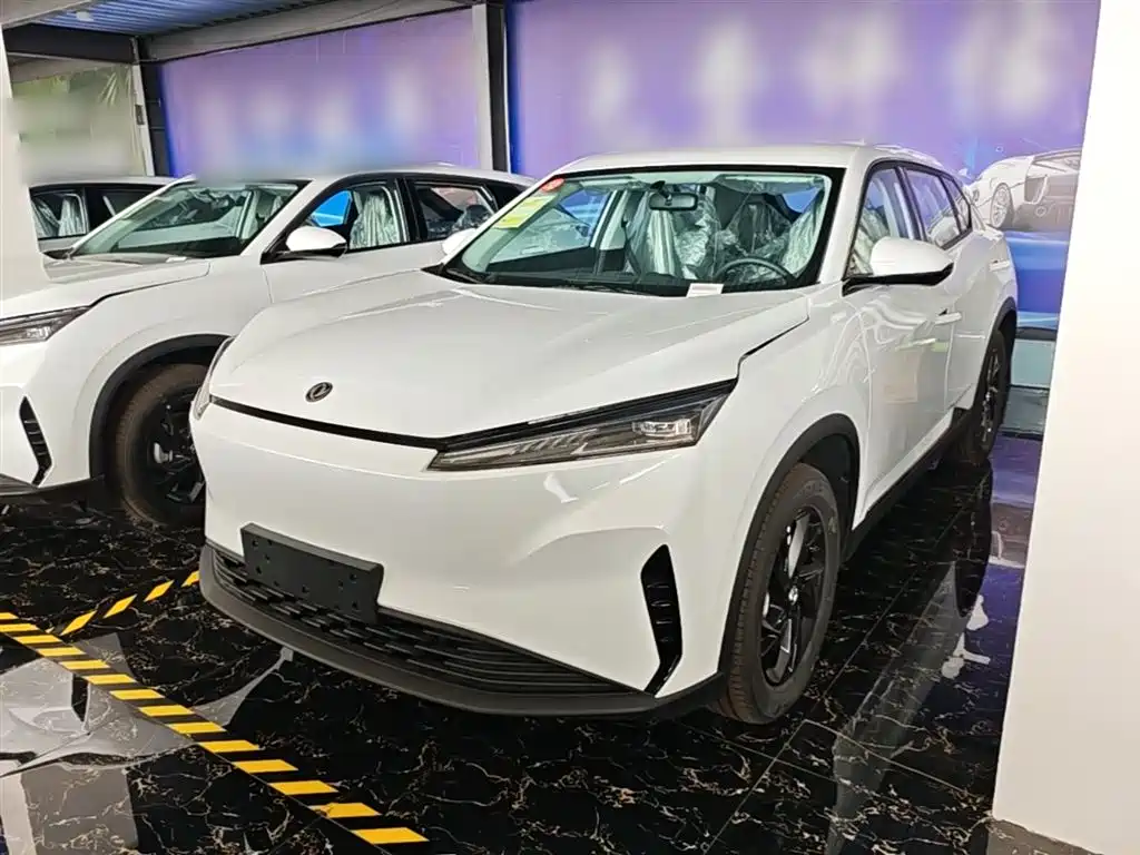 Dongfeng Sky EV01 2025 530km AIR Elite