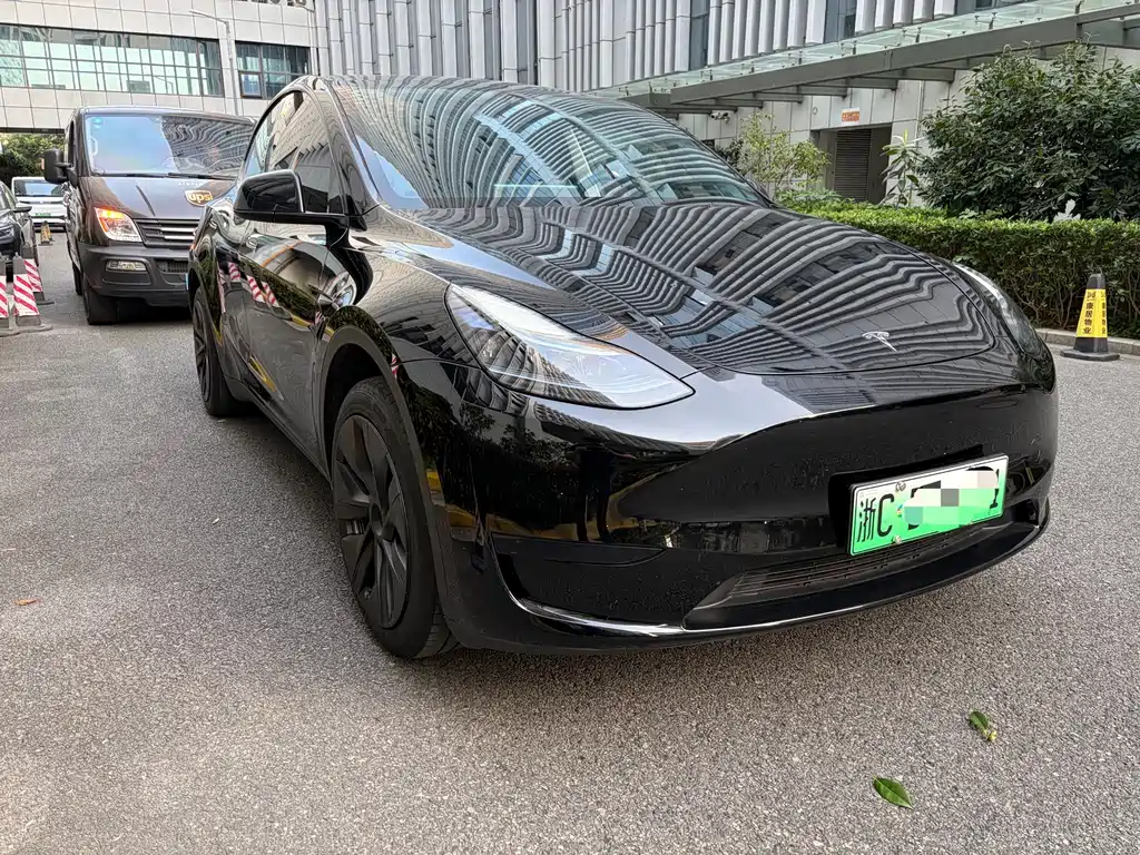 Tesla Model Y — миниатюра 6