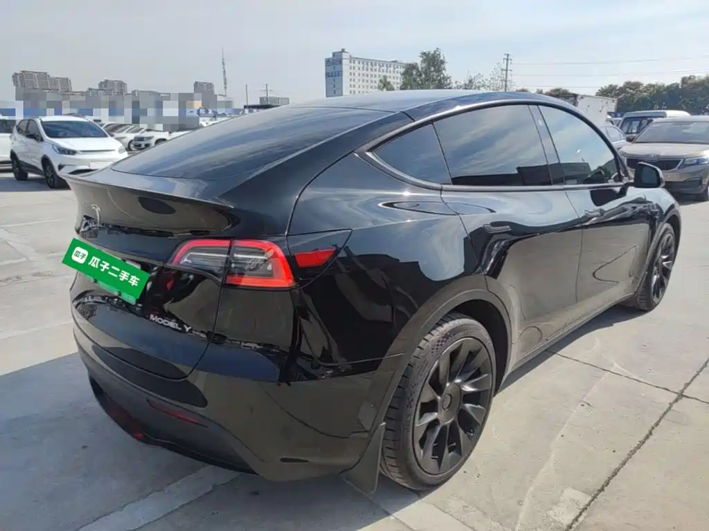 Tesla Model Y — миниатюра 7