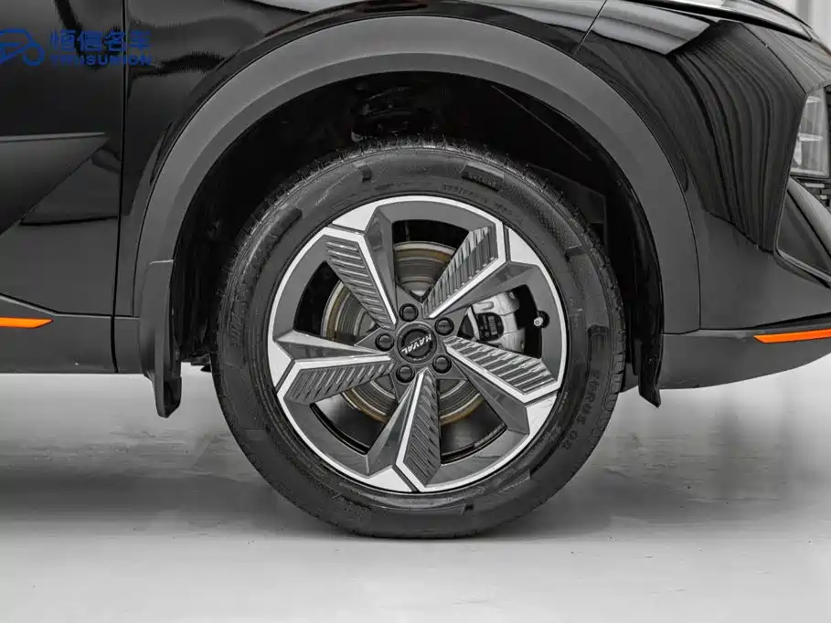 Haval Shenshou — миниатюра 7