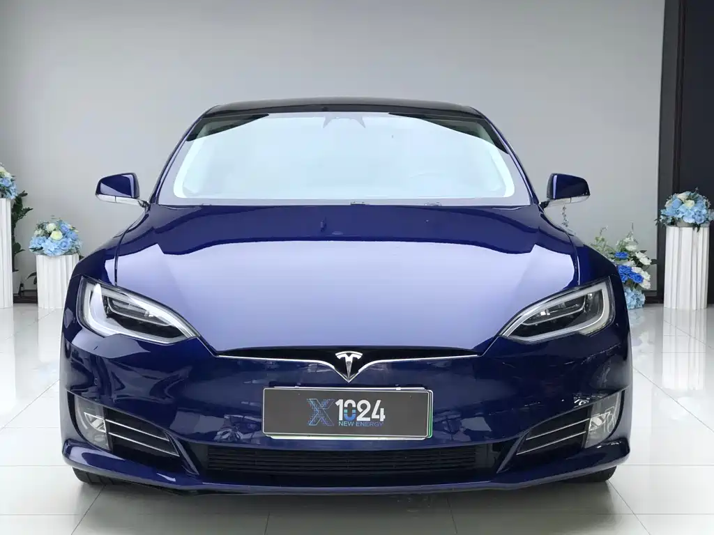 Tesla Model S — миниатюра 2