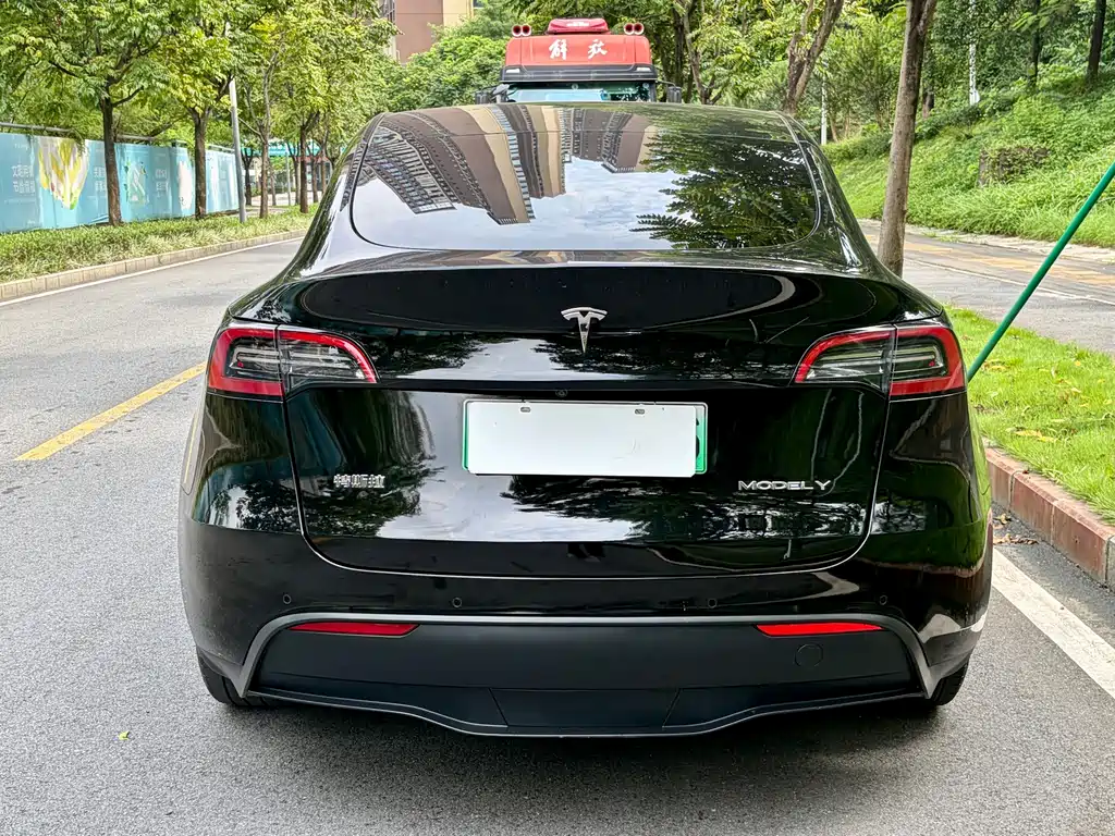 Tesla Model Y — миниатюра 8