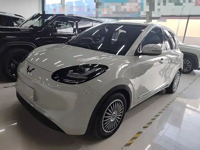 Wuling Bingo