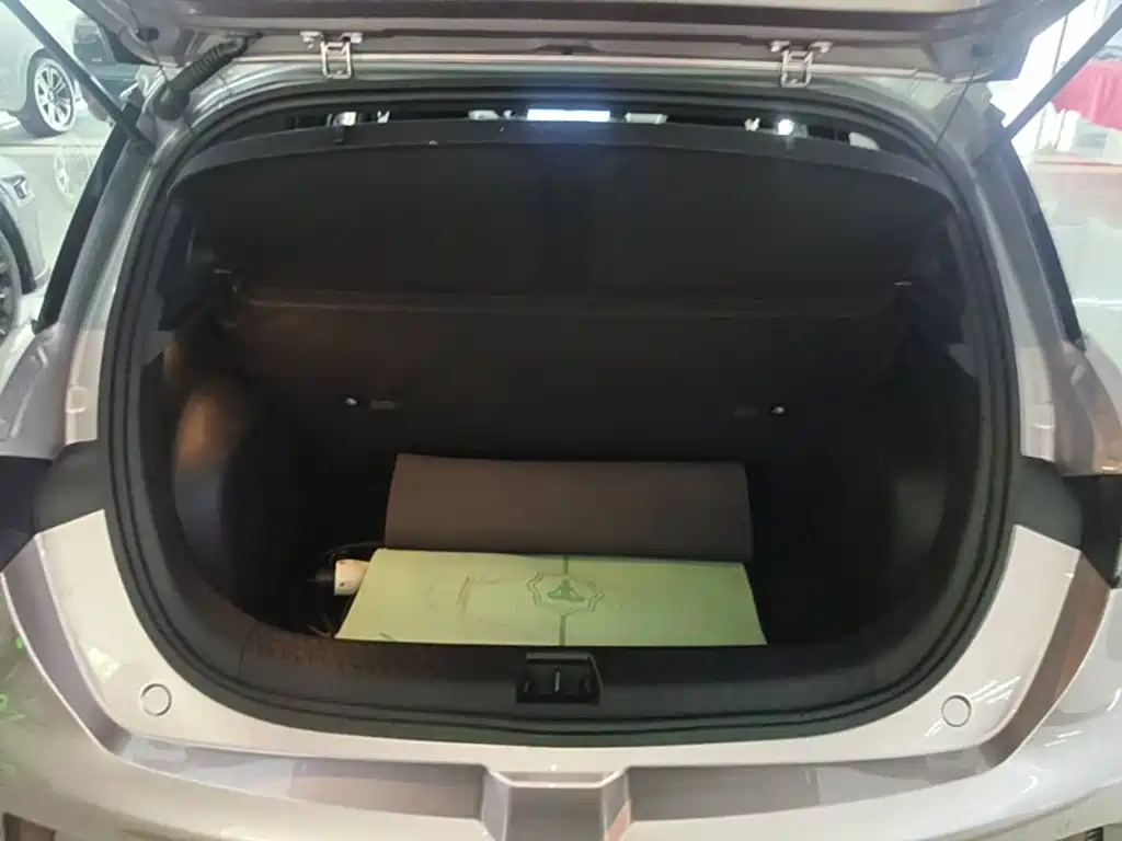 BYD Dolphin — миниатюра 19