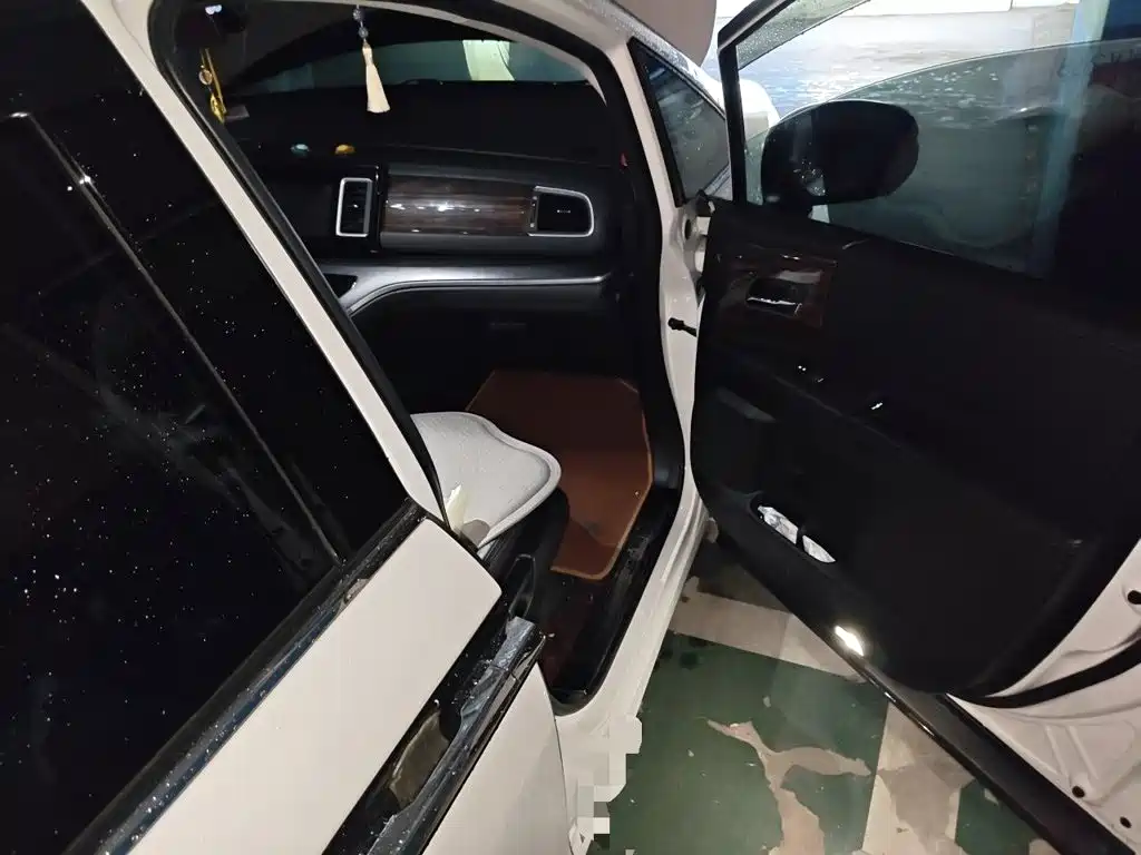 Honda Elysion — миниатюра 19