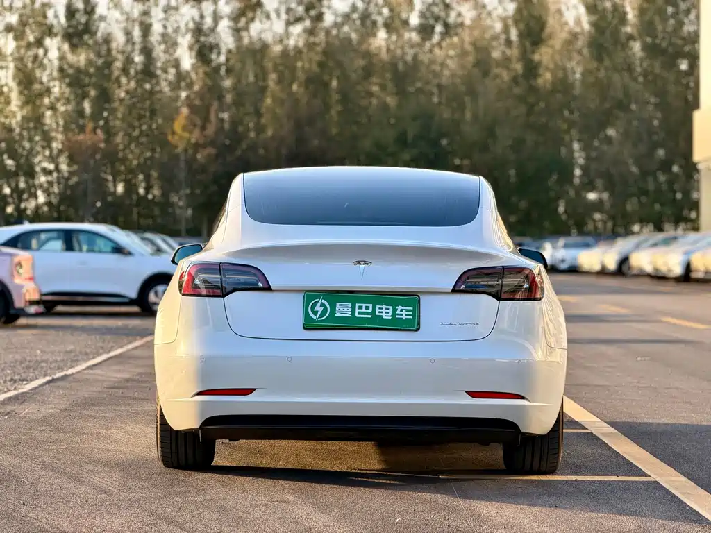 Tesla Model 3 — миниатюра 6