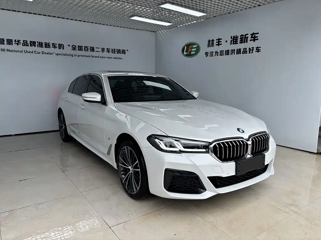BMW 5 Series — миниатюра 4