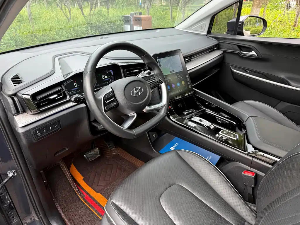 Hyundai Custo — миниатюра 18