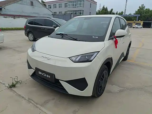 2026 BYD Seagull