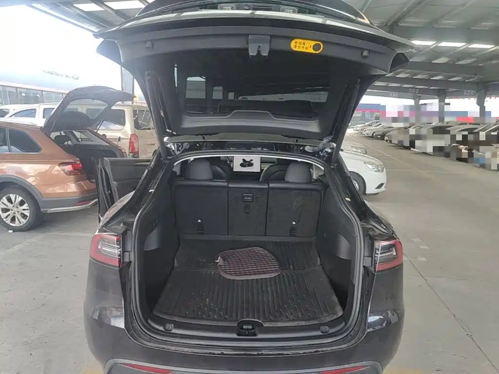 Tesla Model Y — миниатюра 19