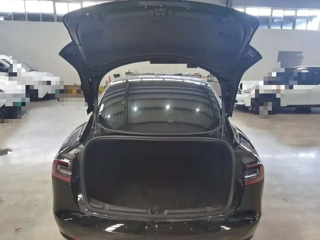Tesla Model 3 — миниатюра 19