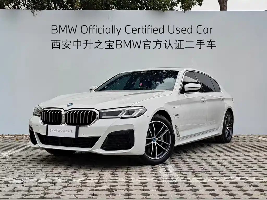 BMW 5 Series New Energy 2024