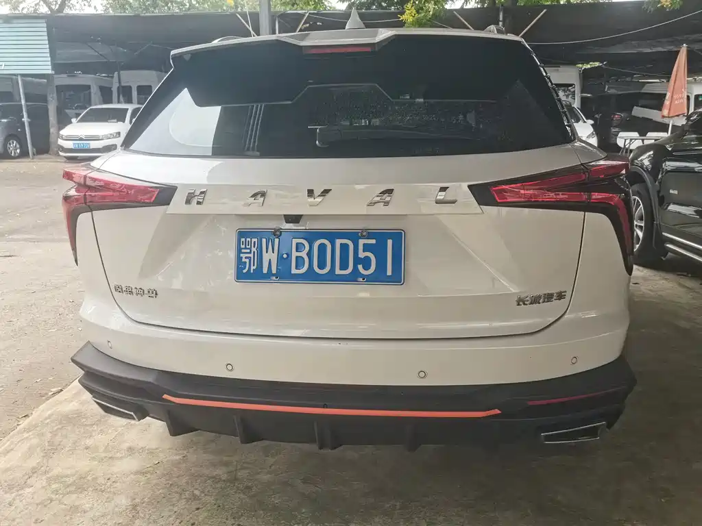 Haval Shenshou — миниатюра 7