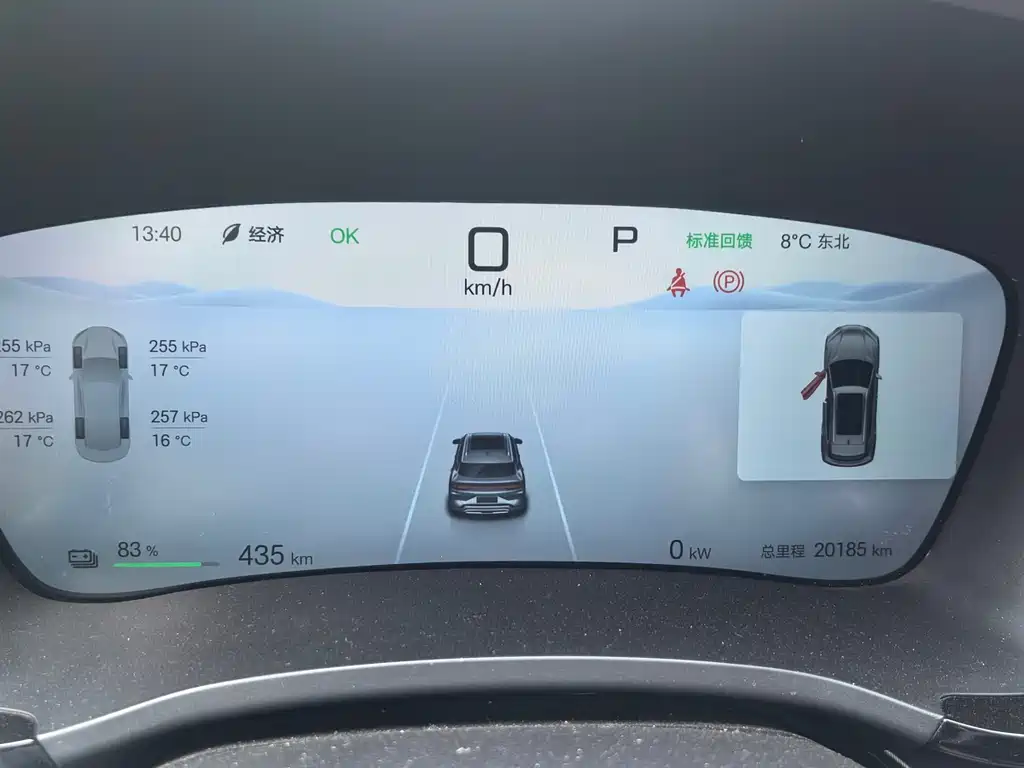 BYD SONGJIANG NEW ENERGY