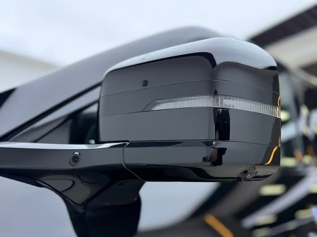 FANG CHENG BAO LEOPARD 5