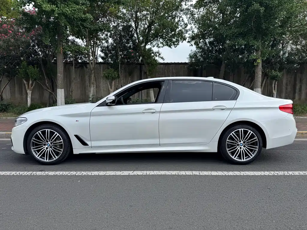 BMW 5 Series 5 2019 530Li Premium M Sport