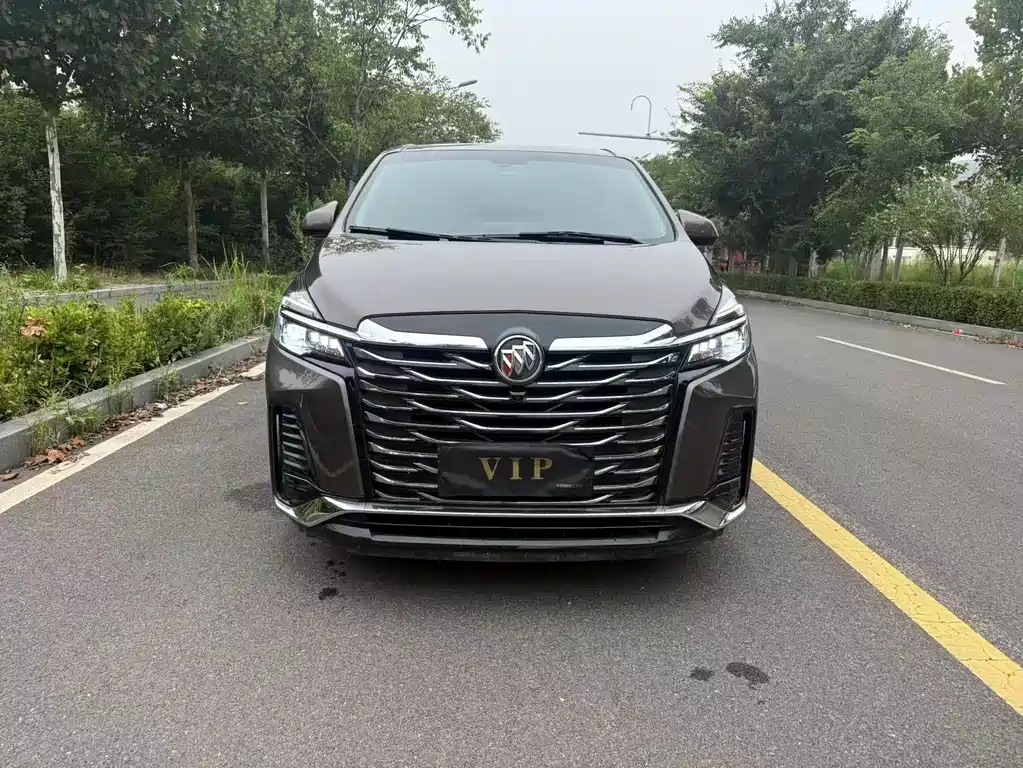 Buick GL8 — миниатюра 2