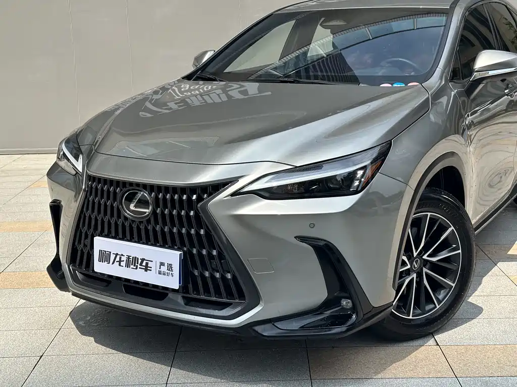Lexus NX 2025 200 FUN