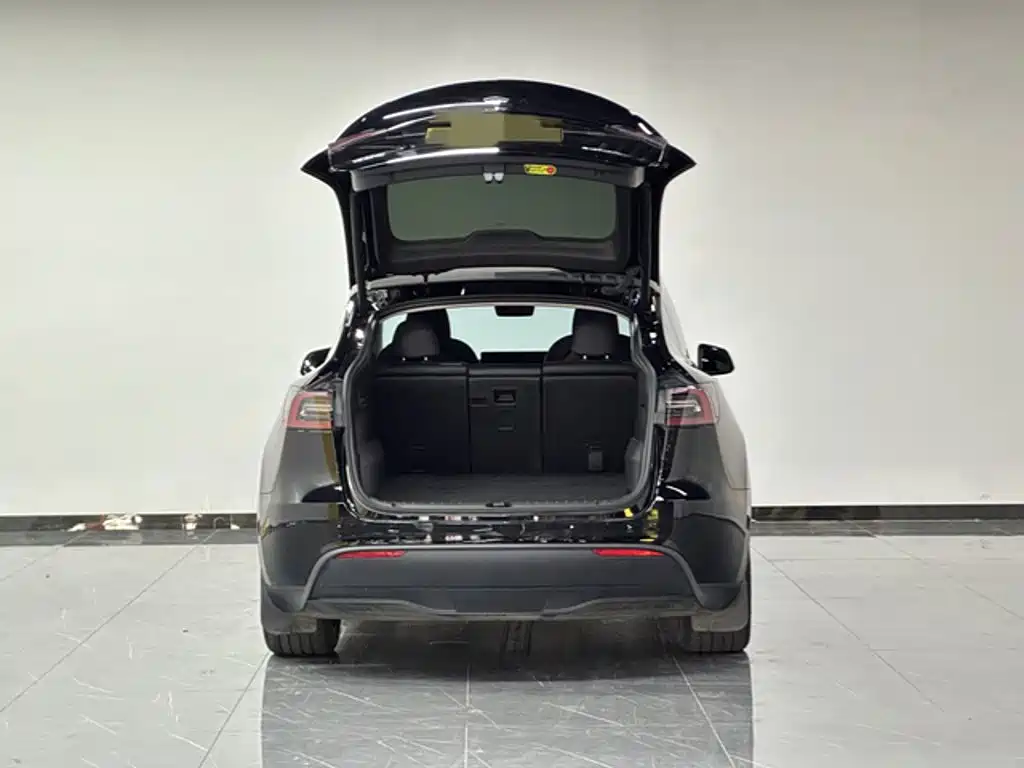 Tesla Model Y — миниатюра 9