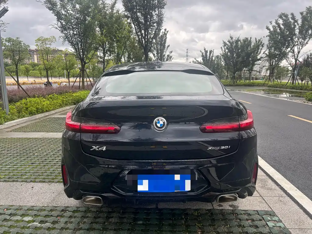 BMW X4 — миниатюра 4