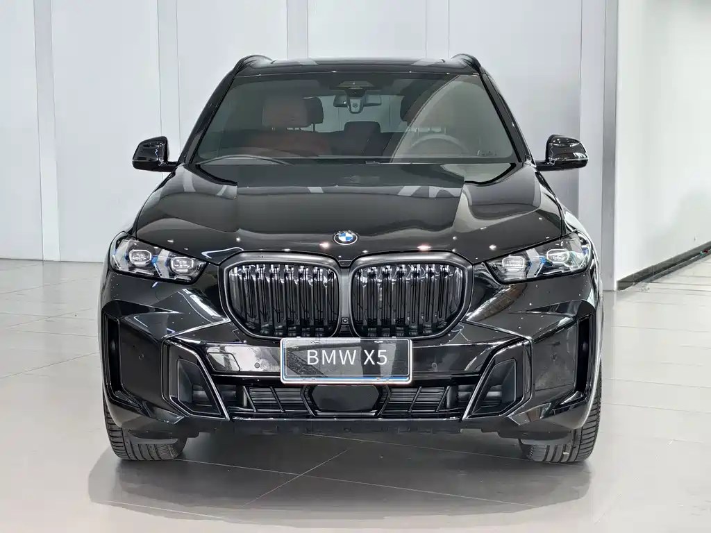 BMW X5 — миниатюра 2