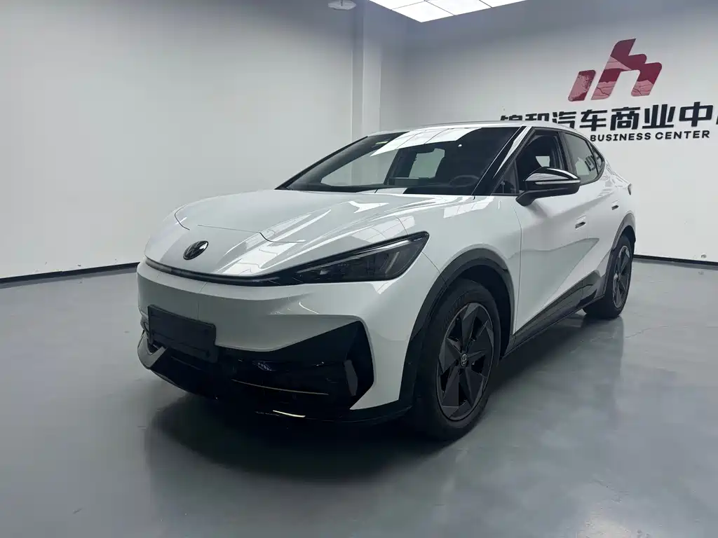 VOLKSWAGEN WITH THE CROWD 06