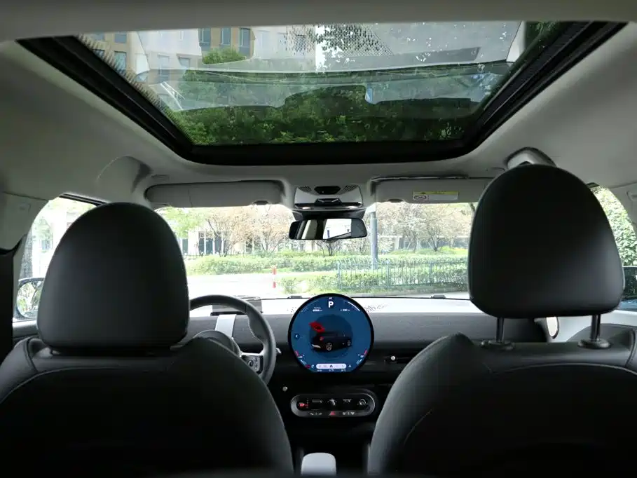 MINI MINI ACEMAN EV — миниатюра 30