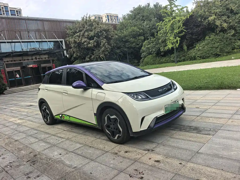 BYD Dolphin — миниатюра 3