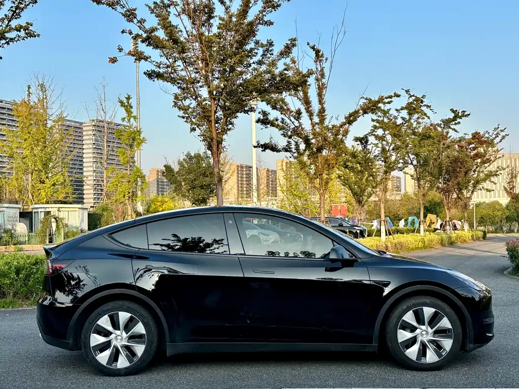 Tesla Model Y — миниатюра 7