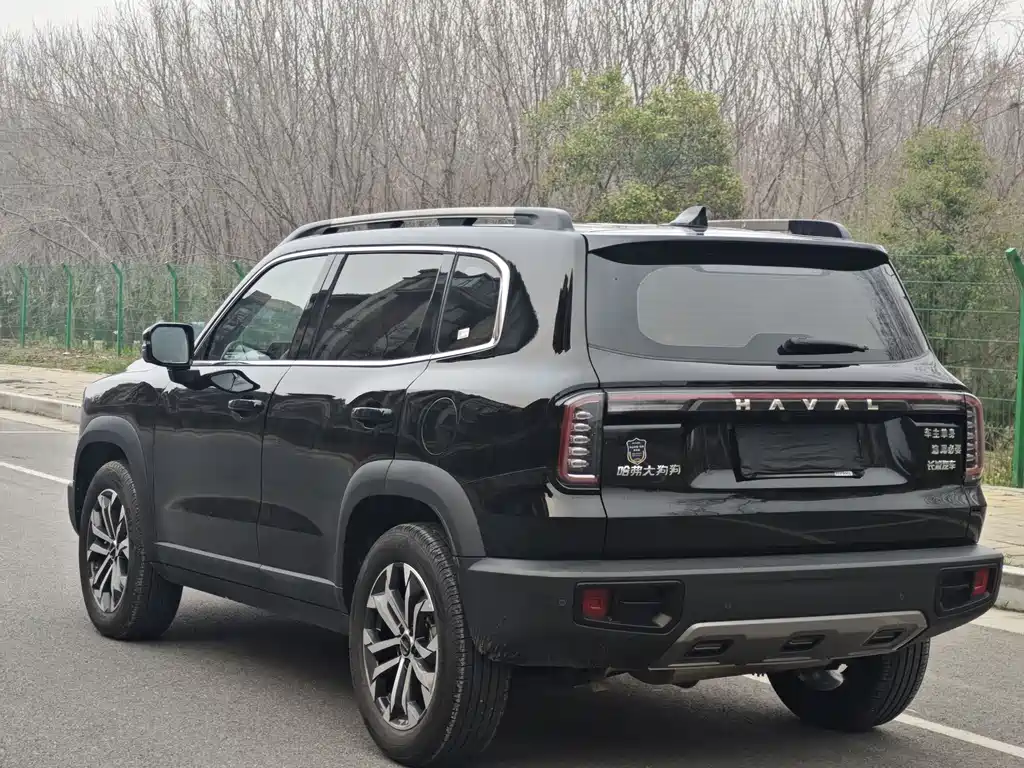 HAVAL BIG DOG