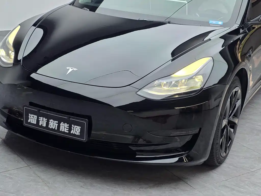 Tesla Model 3 — миниатюра 6
