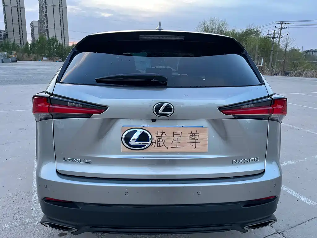 Lexus NX — миниатюра 10