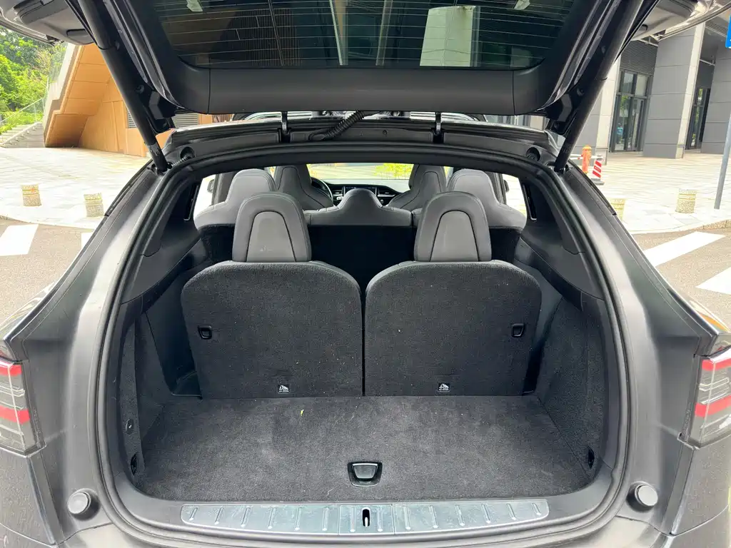 Tesla Model X — миниатюра 27